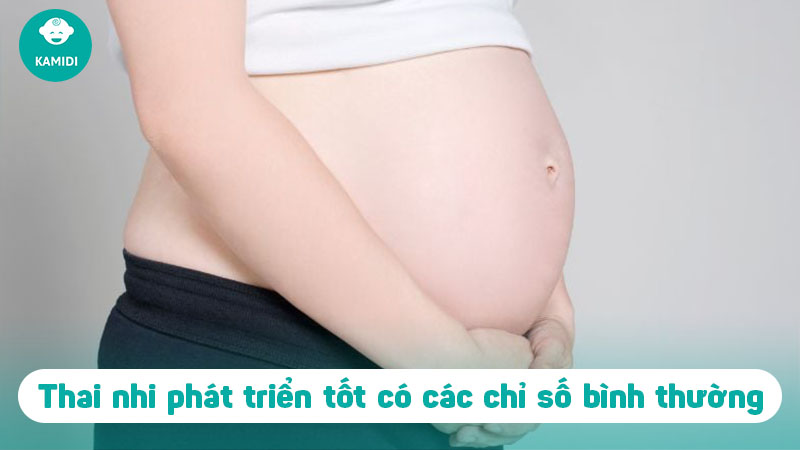 Dấu hiệu thai phát triển tốt 3 tháng đầu 4 dau-hieu-thai-phat-trien-tot-3-thang-dau-3