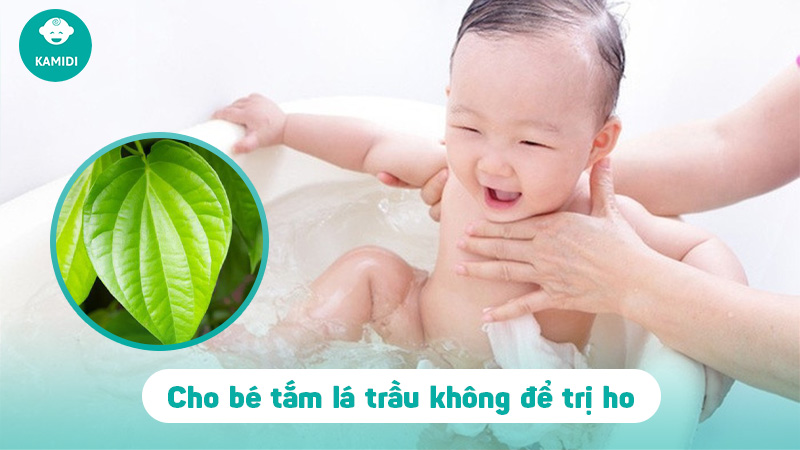 Kinh nghiệm dân gian: Cách trị ho cho trẻ bằng lá trầu không 3 cach-tri-ho-cho-tre-bang-la-trau-khong-2