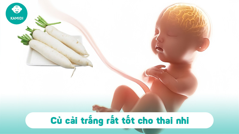 Bầu ăn củ cải trắng được không? Lợi ích của củ cải trắng đối với mẹ bầu 4 bau-an-cu-cai-trang-duoc-khong-3