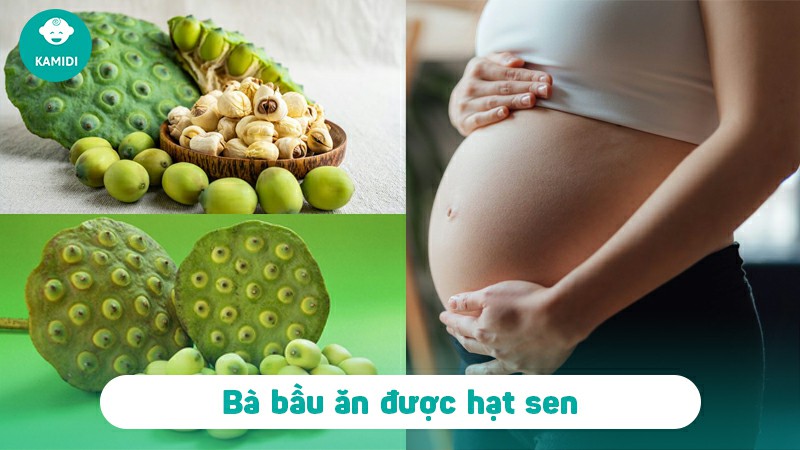 Bầu ăn hạt sen được không? Lợi ích khi ăn hạt sen dành cho mẹ bầu 2 bau-an-hat-sen-duoc-khong-1