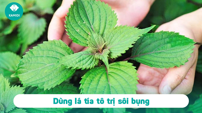 Mẹo dân gian chữa sôi bụng ở trẻ sơ sinh hiệu quả và dễ thực hiện tại nhà 5 meo-dan-gian-chua-soi-bung-o-tre-so-sinh-4