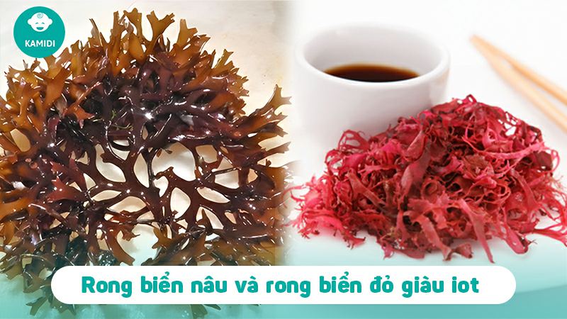 Top 10 thực phẩm giàu Iot quan trọng cho sự phát triển của bé 4 thuc-pham-giau-iot-3