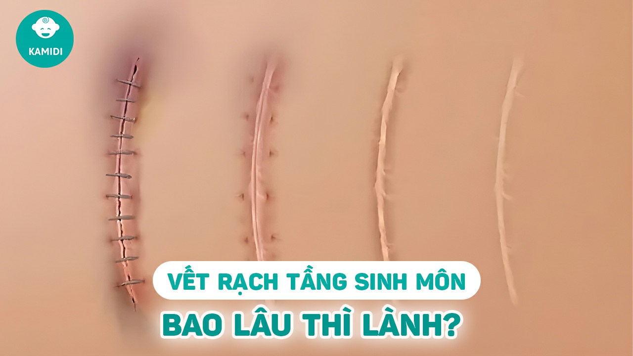 vet-rach-tang-sinh-mon-bao-lau-thi-lanh