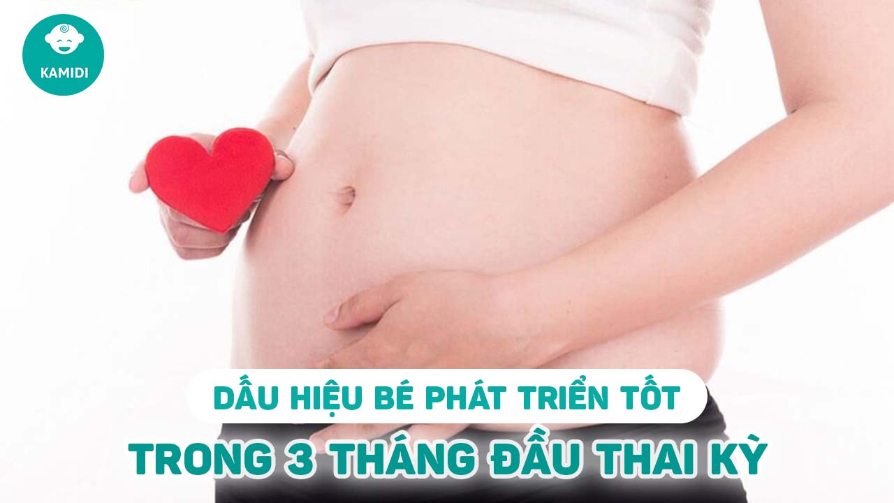 dau-hieu-thai-phat-trien-tot-3-thang-dau