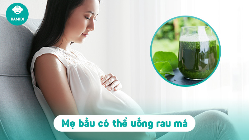 Bà bầu uống rau má được không? Tác dụng của rau má đối với mẹ bầu 2 ba-bau-uong-rau-ma-duoc-khong-1