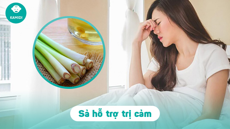 Bầu ăn sả được không? Lợi ích khi sử dụng sả trong thai kì cho mẹ bầu 4 bau-an-sa-duoc-khong-3