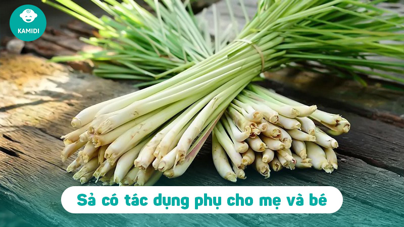 Bầu ăn sả được không? Lợi ích khi sử dụng sả trong thai kì cho mẹ bầu 5 bau-an-sa-duoc-khong-4
