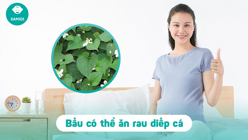 Bầu ăn rau diếp cá được không? Lợi ích của rau diếp cá đối với mẹ bầu 2 bau-an-rau-diep-ca-khong-1