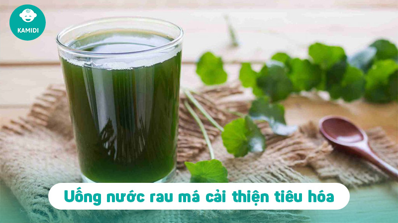 Bà bầu uống rau má được không? Tác dụng của rau má đối với mẹ bầu 4 ba-bau-uong-rau-ma-duoc-khong-3