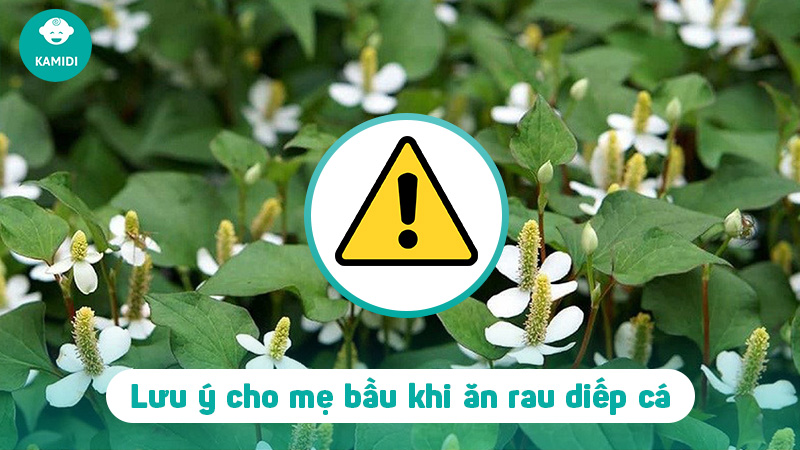 Bầu ăn rau diếp cá được không? Lợi ích của rau diếp cá đối với mẹ bầu 5 bau-an-rau-diep-ca-duoc-khong-4