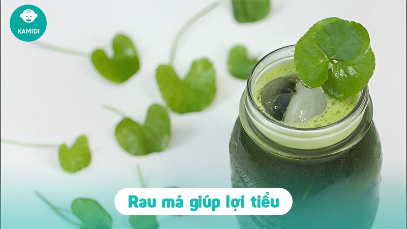 Bà bầu uống rau má được không? Tác dụng của rau má đối với mẹ bầu 3 ba-bau-uong-rau-ma-duoc-khong-2