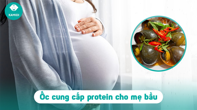 Bầu ăn ốc được không? Lưu ý khi ăn ốc dành cho mẹ bầu 3 bau-an-oc-duoc-khong-4