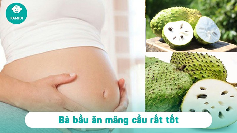 Bầu ăn mãng cầu được không? Lợi ích khi ăn mãng cầu dành cho mẹ bầu 2 bau-an-mang-cau-duoc-khong-1