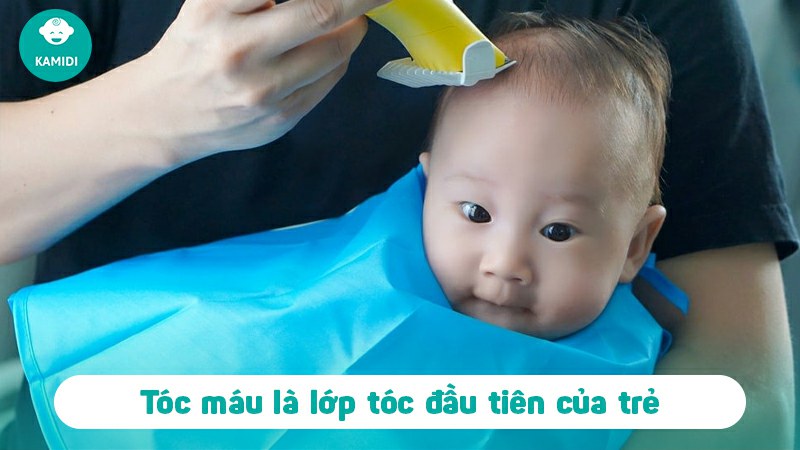 Tóc máu là gì? Có nên cắt tóc máu cho trẻ sơ sinh không? 2 co-nen-cat-toc-mau-cho-tre-so-sinh-khong-1