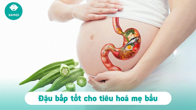 Bầu ăn đậu đậu bắp được không? Lợi ích của đậu bắp đối với mẹ bầu 3 bau-an-dau-dau-bap-duoc-khong-2