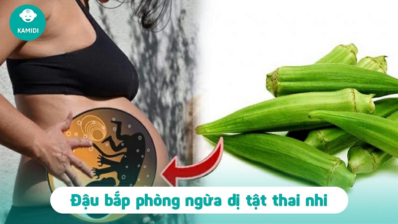 Bầu ăn đậu đậu bắp được không? Lợi ích của đậu bắp đối với mẹ bầu 4 bau-an-dau-dau-bap-duoc-khong-3