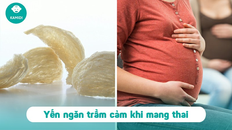 Bà bầu ăn yến được không? Tác dụng của yến đối với mẹ bầu và thai nhi 4 ba-bau-an-yen-duoc-khong-3