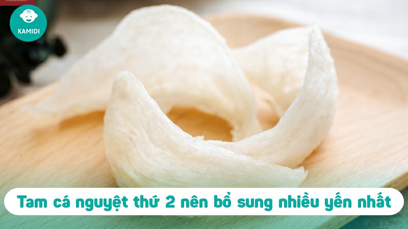 Bà bầu ăn yến được không? Tác dụng của yến đối với mẹ bầu và thai nhi 5 ba-bau-an-yen-duoc-khong-4