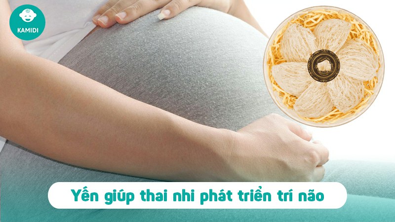 Bà bầu ăn yến được không? Tác dụng của yến đối với mẹ bầu và thai nhi 3 ba-bau-an-yen-duoc-khong-2