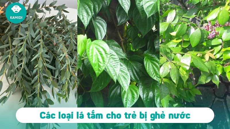Trẻ bị ghẻ nước tắm lá gì mau hết? Mẹo dân gian trị ghẻ nước cho bé 4 tre-bi-ghe-nuoc-3