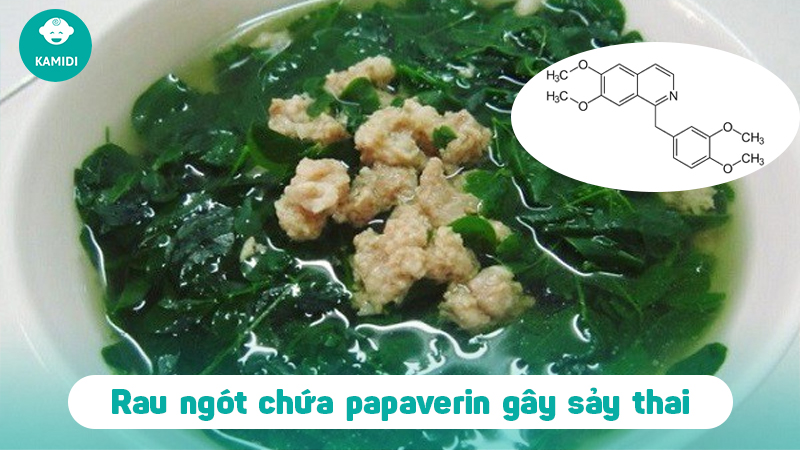 ba-bau-an-rau-ngot-duoc-khong-2