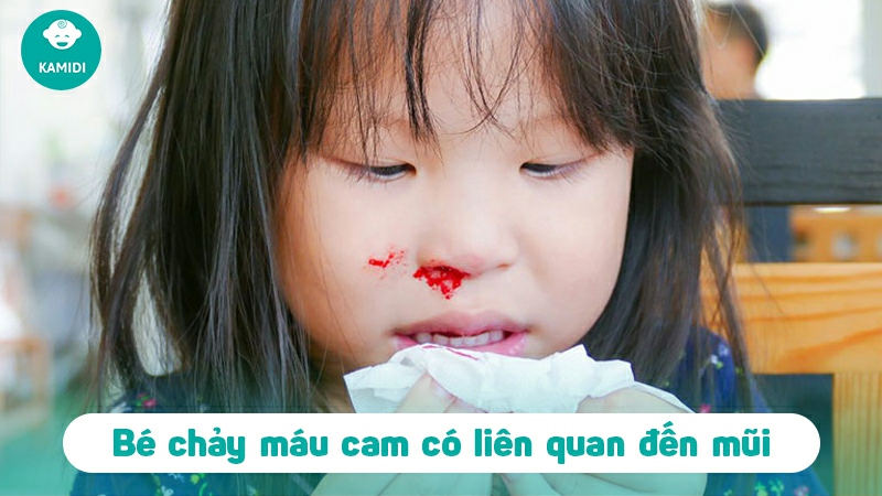 chay-mau-cam-o-tre-1