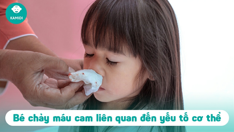 chay-mau-cam-o-tre-2