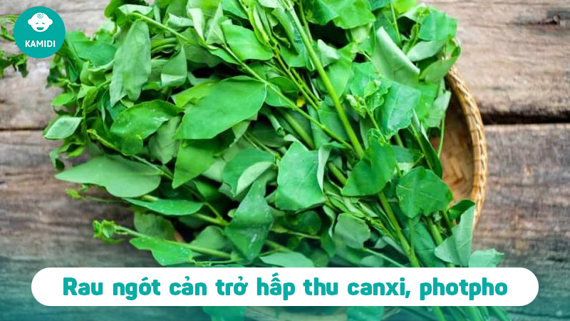 ba-bau-an-rau-ngot-duoc-khong-3