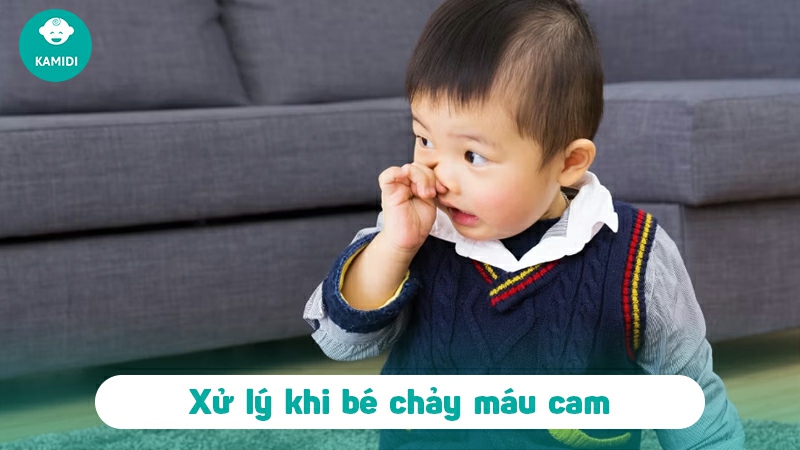 chay-mau-cam-o-tre-3