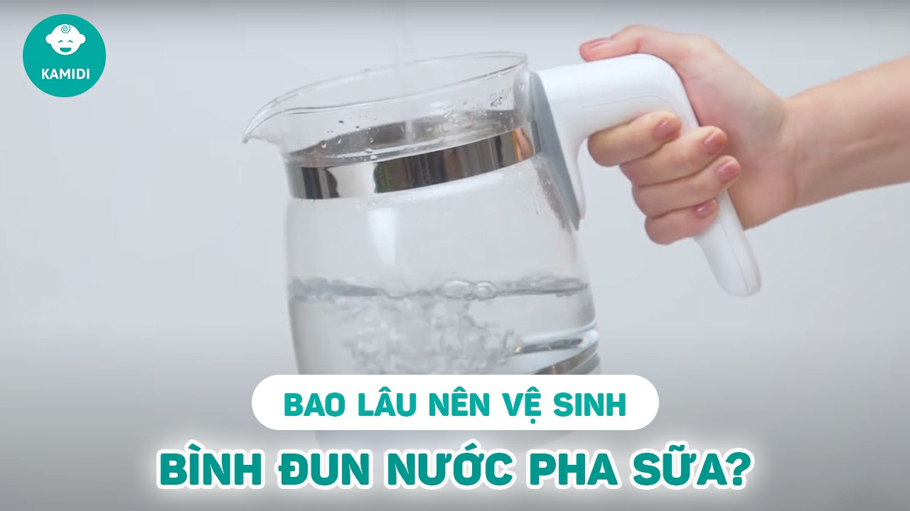 bao-lau-nen-ve-sinh-binh-dun-nuoc-pha-sua