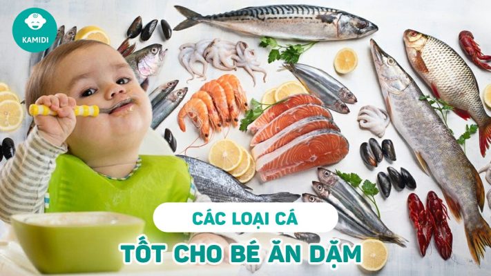 cac-loai-ca-tot-cho-be-an-dam
