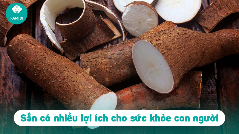 Bầu ăn sắn được không? Những điều về củ sắn mẹ bầu nên biết 2 bau-an-san-duoc-khong-1