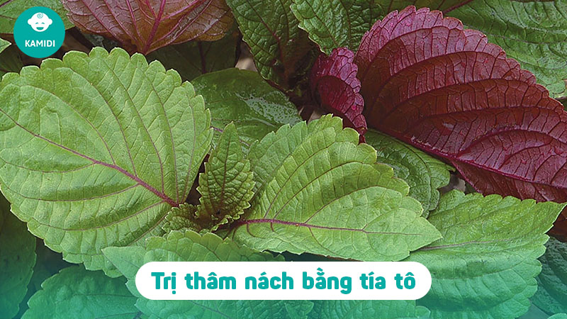 Cách trị thâm nách sau sinh hiệu quả cho mẹ bỉm 4 cach-tri-tham-nach-sau-sinh-3
