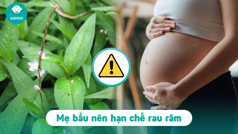 Bầu ăn rau răm được không? Lưu ý khi ăn cho mẹ bầu 3 bau-an-rau-ram-duoc-khong-3