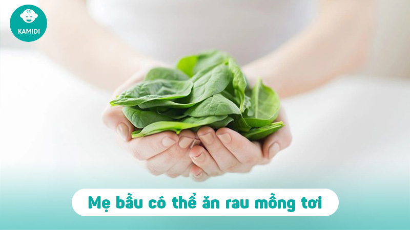 Bầu ăn rau mồng tơi được không? Lợi ích khi mẹ bầu ăn rau mồng tơi 2 bau-an-rau-mong-toi-duoc-khong-1