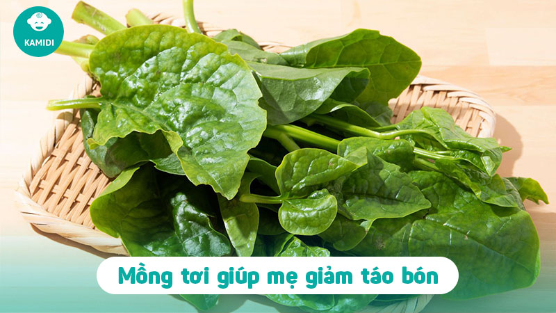 Bầu ăn rau mồng tơi được không? Lợi ích khi mẹ bầu ăn rau mồng tơi 3 bau-an-rau-mong-toi-duoc-khong-2