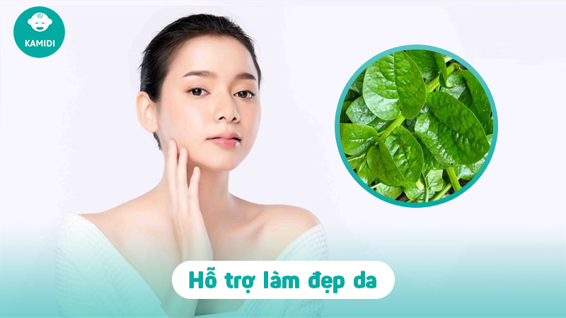 Bầu ăn rau mồng tơi được không? Lợi ích khi mẹ bầu ăn rau mồng tơi 4 bau-an-rau-mong-toi-duoc-khong-3