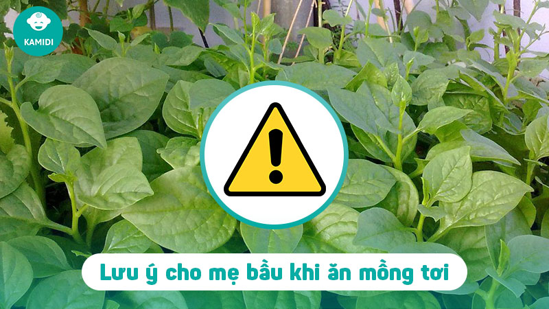 Bầu ăn rau mồng tơi được không? Lợi ích khi mẹ bầu ăn rau mồng tơi 5 bau-an-rau-mong-toi-duoc-khong-4