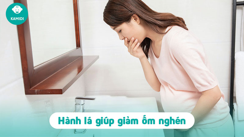 Bầu ăn hành lá được không? Lợi ích tuyệt vời từ hành lá mẹ không thể bỏ qua 3 bau-an-hanh-la-duoc-khong-2