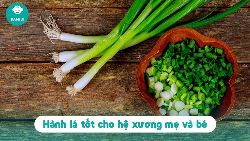 Bầu ăn hành lá được không? Lợi ích tuyệt vời từ hành lá mẹ không thể bỏ qua 5 bau-an-hanh-la-duoc-khong-4