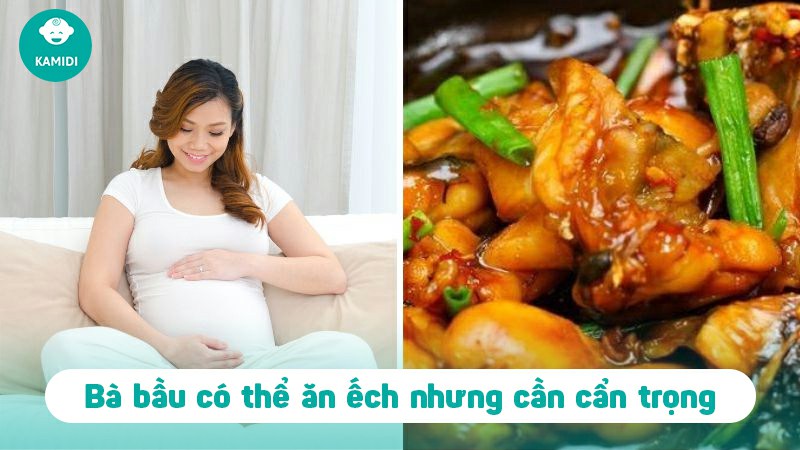 ba-bau-an-ech-duoc-khong-1