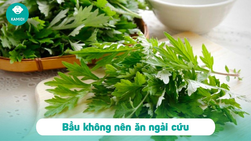 Bầu có ăn được ngải cứu không? Nên lưu ý gì khi ăn ngải cứu 3 bau-co-an-duoc-ngai-cuu-khong-1