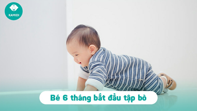 Bé mấy tháng biết bò? Dấu hiệu bé biết bò ba mẹ nên biết 2 be-may-thang-biet-bo-1