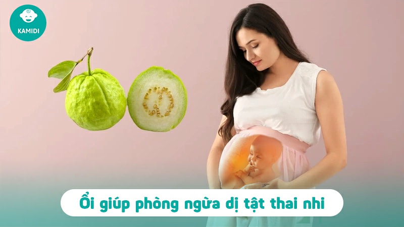 Bà bầu ăn ổi được không? Mẹ bầu cần lưu ý gì khi ăn ổi 4 ba-bau-an-oi-duoc-khong-3
