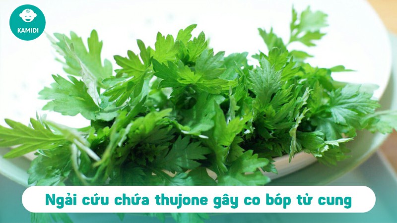 Bầu có ăn được ngải cứu không? Nên lưu ý gì khi ăn ngải cứu 4 bau-co-an-duoc-ngai-cuu-khong-2