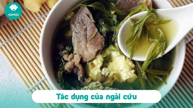 Bầu có ăn được ngải cứu không? Nên lưu ý gì khi ăn ngải cứu 2 bau-co-an-duoc-ngai-cuu-khong-3