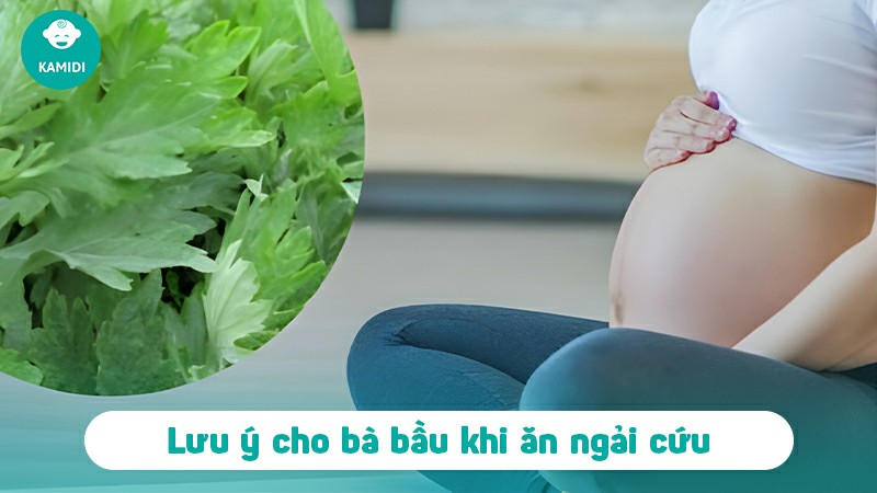 Bầu có ăn được ngải cứu không? Nên lưu ý gì khi ăn ngải cứu 5 bau-co-an-duoc-ngai-cuu-khong-4