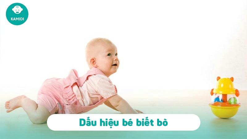 Bé mấy tháng biết bò? Dấu hiệu bé biết bò ba mẹ nên biết 3 be-may-thang-biet-bo-2