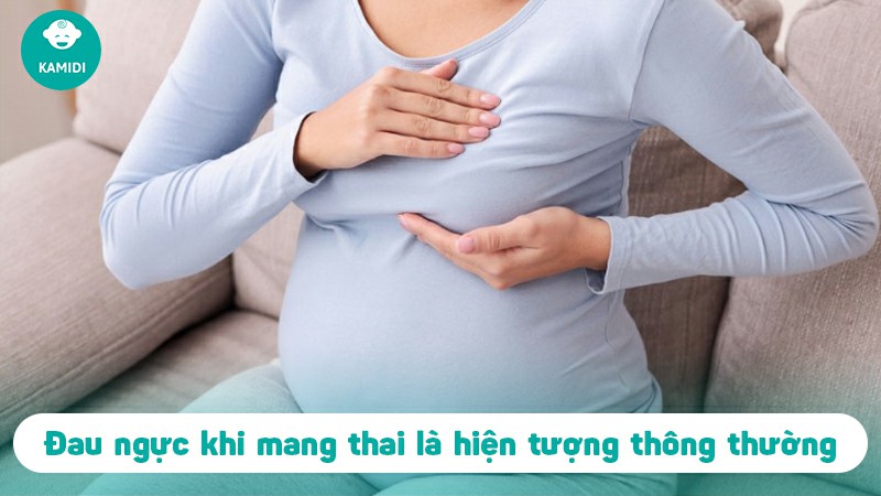 Đau ngực khi mang thai có nguy hiểm không? Nguyên nhân và cách khắc phục 2 dau-nguc-khi-mang-thai-1