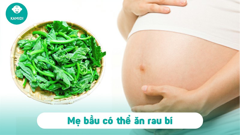 Bầu ăn rau bí được không? Công dụng tuyệt vời của rau bí với phụ nữ mang thai 2 bau-an-rau-bi-duoc-khong-1